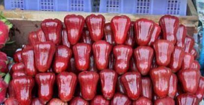 莲雾|南方这水果火了比蜂蜜还甜卖60元一斤，却少有人吃过