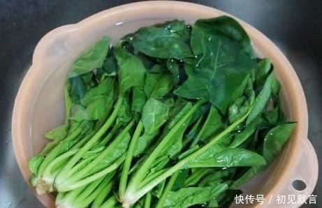 菠菜粉丝|3块钱买一捆,搭配粉丝凉拌着吃,清爽味美,孩子常吃还保护眼睛