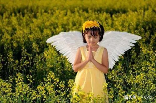 讨厌|请不要怪我把你屏蔽，因为发这种朋友圈的人，真的很讨厌