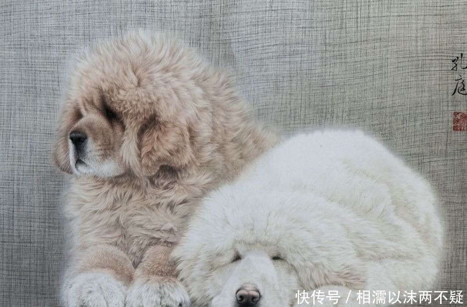 赚大钱|属狗人和谁在一起能赚大钱？