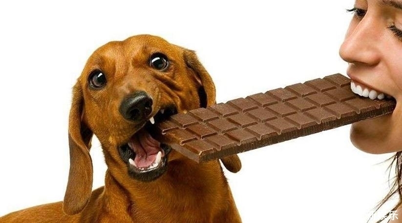 看不到天空|这些冷知识真有用! 人不睡觉能熬多长时间?