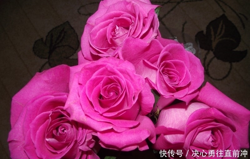 未来|未来一个月,财神偏爱,事业顺,爱情旺,苦尽甘来的四大生肖