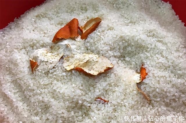 实用|学会大米的正确储存方法,放一年都不生虫不发霉,简单又实用