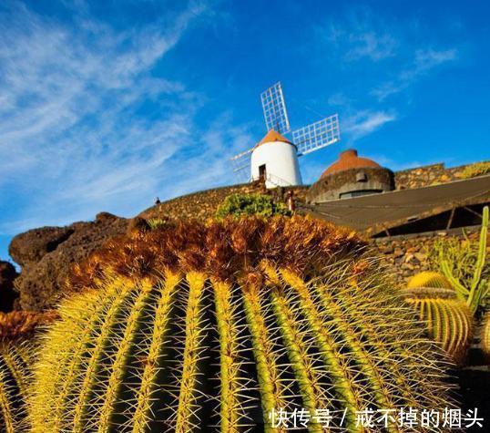 高地|苏格兰高地军成功地执行了突围进攻的命令