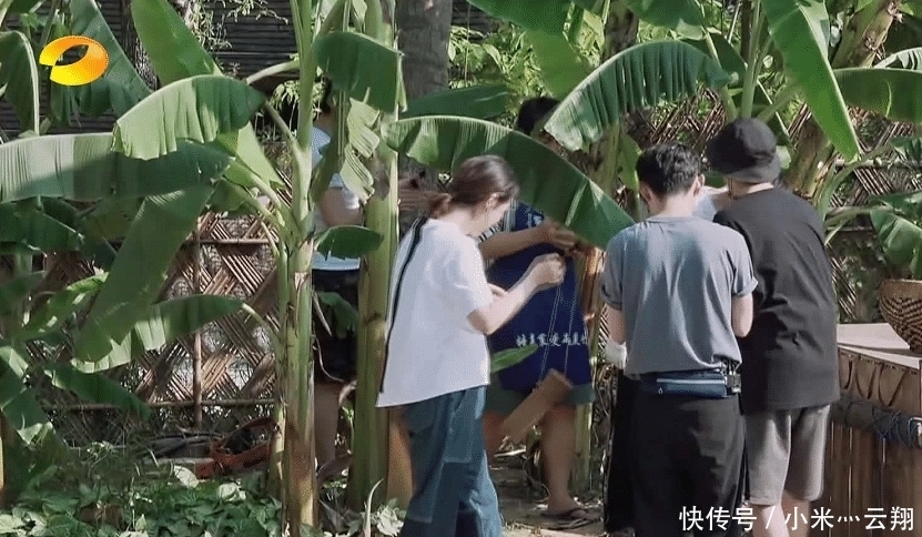 椰子树|彭昱畅爬完椰子树后,那把刀取下来没有?《向往的生活》导演回应了