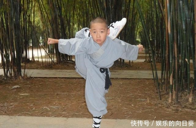  有人|央视《大侠霍元甲》收视率飙升，功夫片明明有市场，为什么现在却很少有人拍了呢