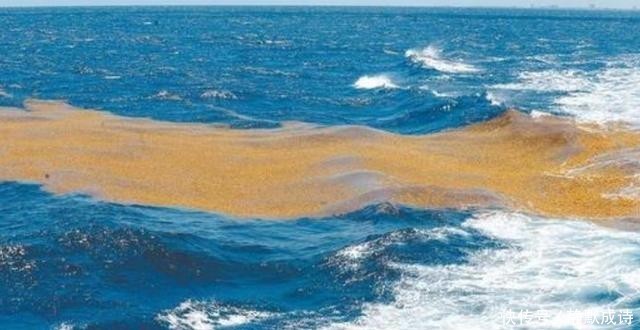  透明度|全球最“离奇”的海域，海水透明度达72米，却被称为海上坟地