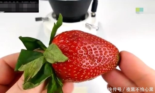 显微镜|男子将草莓在显微镜下放大一百倍,接下来的一幕让所有人傻眼了