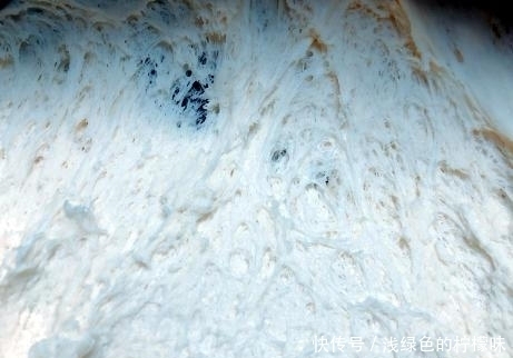 技巧|秋天蒸馒头,只放酵母是外行,学会1招技巧,出锅馒头又大又暄软
