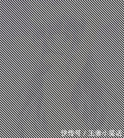 眼力|9图测眼力:答对7张智商至少130!可惜看懂一半的人都很少