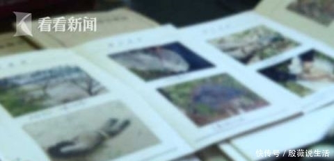 朋友|伙同朋友杀妻沉尸 男子潜逃25年终于落网