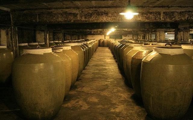 源于|中国之茶源于云贵？你怎么样看待贵州茶