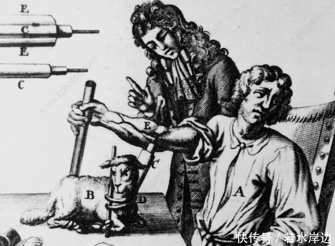  血液里|人类输血的起源：把小牛血输入疯子体内，希望他不再发疯变温柔