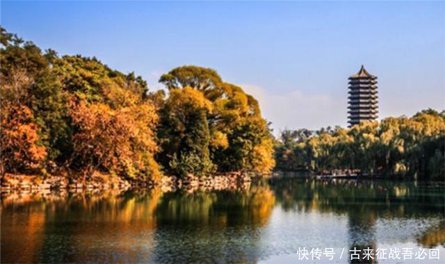 晕血|晕血医学博士张进生:顶着北大名号月薪2000,谁毁了他的人生