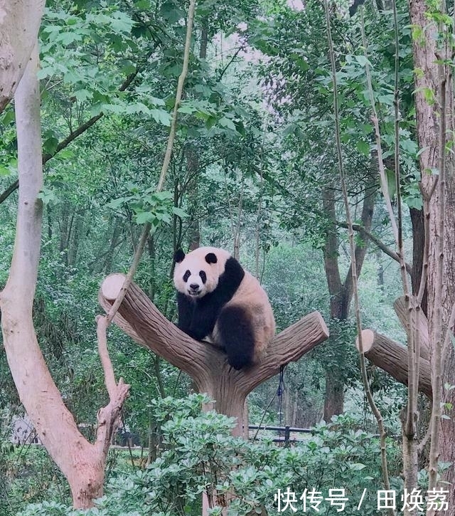  小食袋|后疫情时期，国内航司经济舱飞机餐大比拼！这个排名你是否认同？