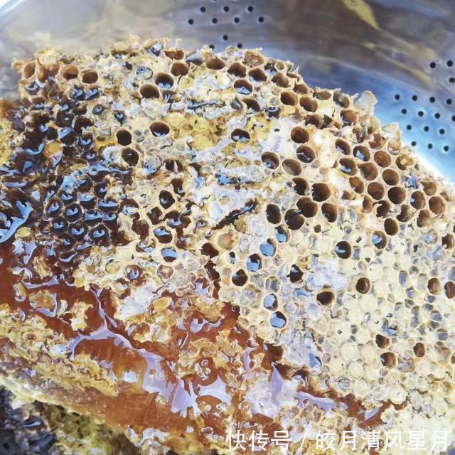 美容养颜|全球保存最久的蜂蜜,3300年不变质,难道蜂蜜真的不会变质