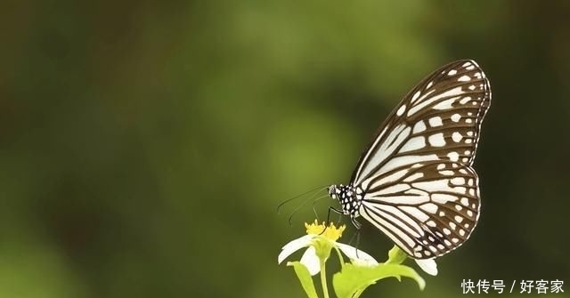 起走|?人生本过客,何须太执着