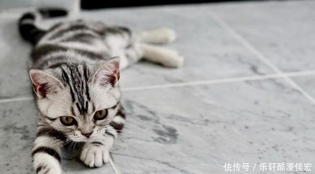 前任|九月份也是爱情月,这3个星座对旧爱念念不忘,有信心让前任回头