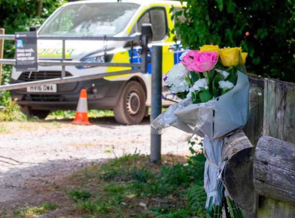  卡西女士|16岁美少女在表姐夫妇家借住时神秘失踪，两周后尸体出现在树林