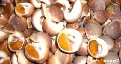 海鲜|海鲜大全, 你能认出多少