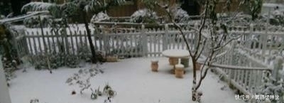 院子|年轻的时候努力赚钱,建一座这样的院子,老了过悠哉的生活