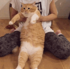 今晚|搞笑GIF:大哥:大吉大利,今晚吃鸡。