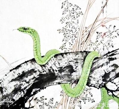  明天|明天开始，迎接横财，日子一顺百顺的3大声笑，笑得合不拢嘴