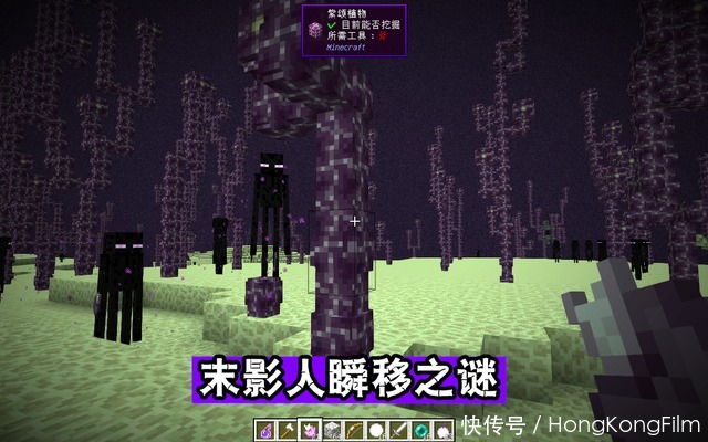 秘密|Minecraft隐藏的秘密系列1，mojang不解释，或许我们永远也不知道