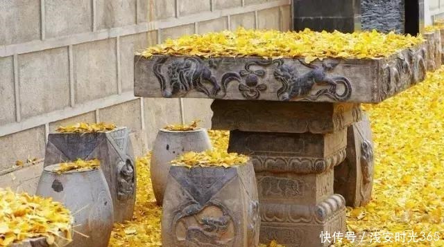 真准|喝一次酒,就看出一个人的性情!真准!(深度好文)