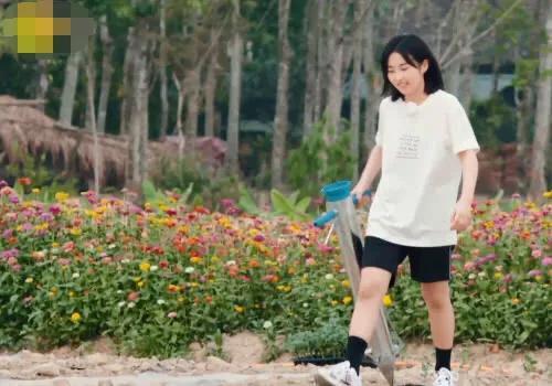 向往|《向往的生活》录制一半,张子枫杳无踪迹,背后原因令人敬佩!