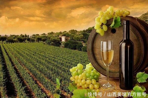 怪不得|喝葡萄酒之前也需要这么多细节，怪不得老是觉得口味不对
