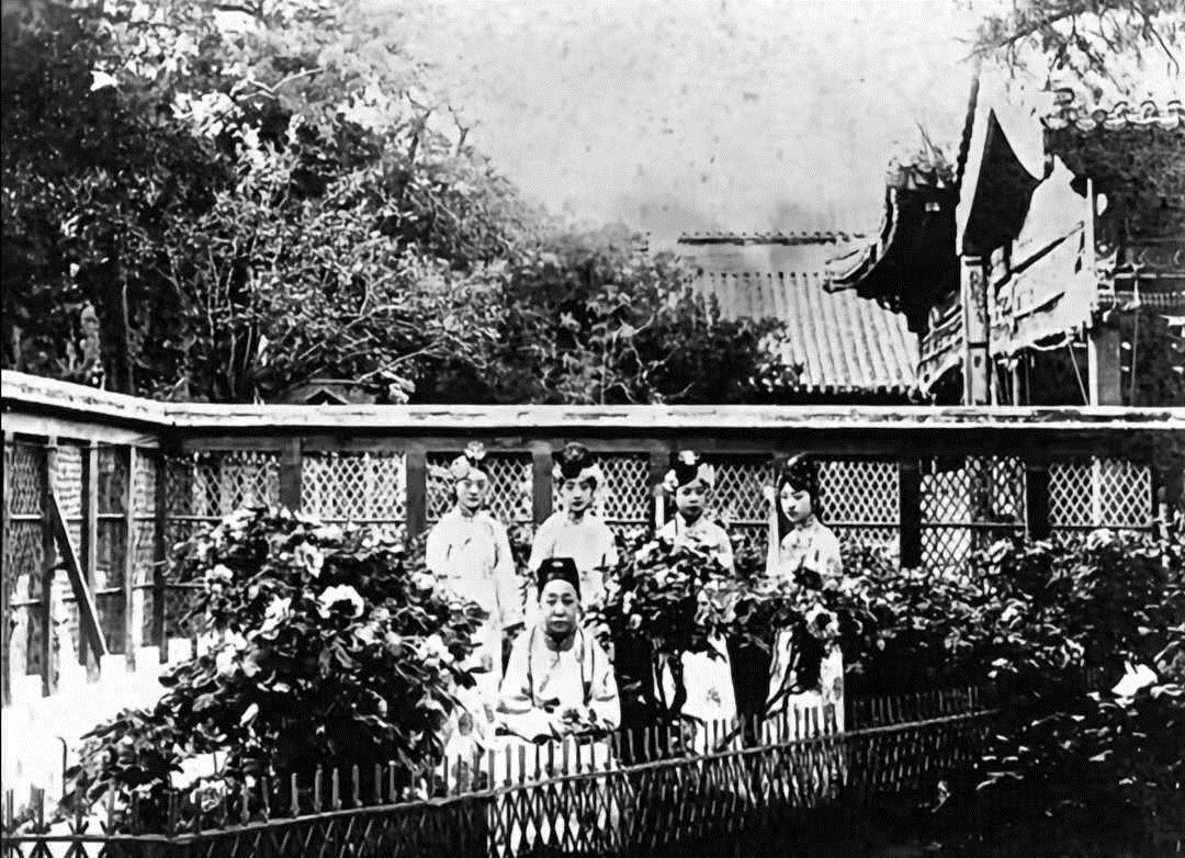 清末|清末老照片,图一是慈禧七十岁的妈,图七是溥仪吃奶到九岁的乳母