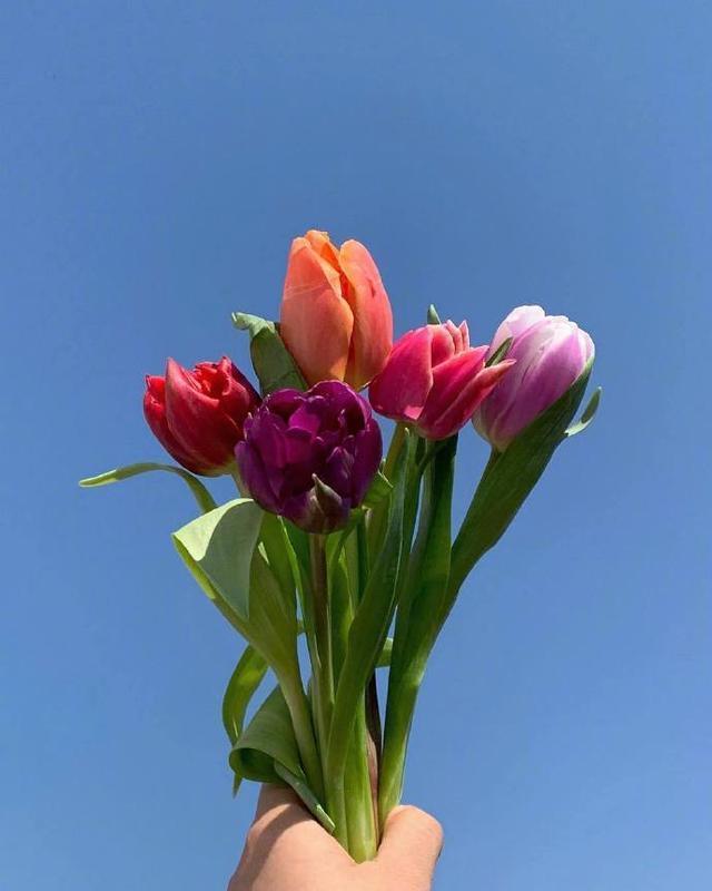  迷人|朋友圈超迷人的早安句子，干净治愈，沁人心脾！