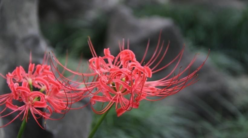 正财|3生肖接下来一周正财滚滚来,收入攀升,不再为钱发愁,恭喜恭喜