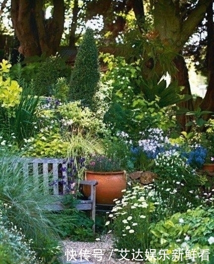 暮年|你我暮年,有个小院,足矣!