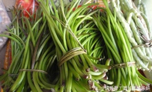 划算|它是蔬菜皇后,蛋白质不低于牛羊肉,仅需1元一斤,吃起来真划算