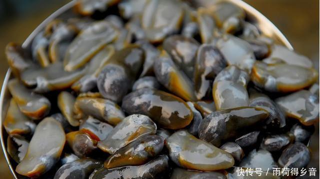 丑陋|6种“外表丑陋”却十分鲜美的海鲜,看看你吃过几种