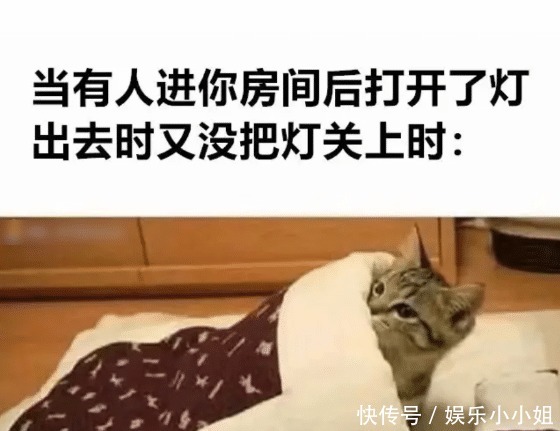 火腿肠|“火腿肠中间有夹心,这白糊糊的是什么”哈哈哈真材实料