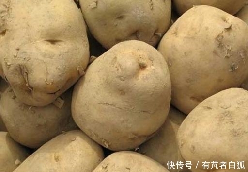 吃法|教你土豆的新吃法,搭配2个鸡蛋,简单又爽口,比炒土豆丝更好吃