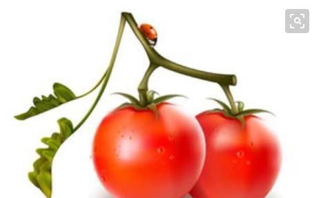 禁忌|多吃香菇身体棒棒,禁忌须知一点,想知道的看过来