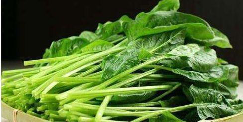 儿菜|女性不想长皱纹,坚持吃的食物,排毒素清,刮油甩脂,肌肤能水嫩