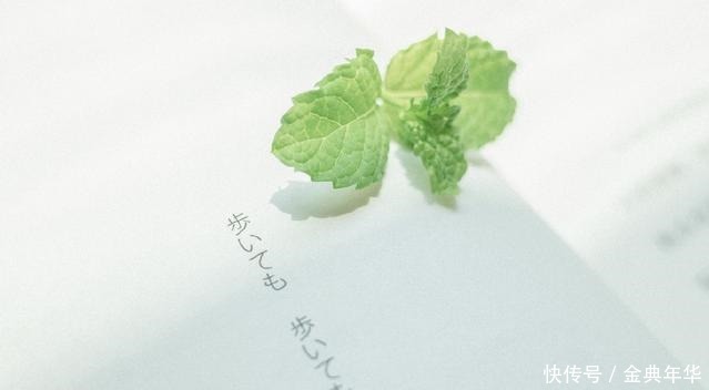 温暖|浅浅擦肩,温暖相遇