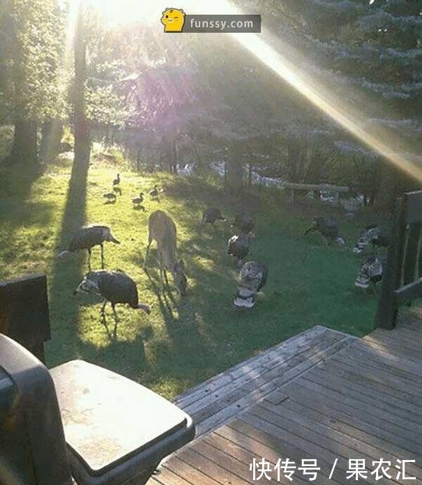 觉醒|8张「一觉醒来世界怎么变了」的照片