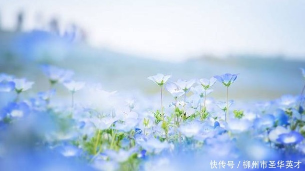 永远|真正厉害的人,你永远觉察不到他的情绪!