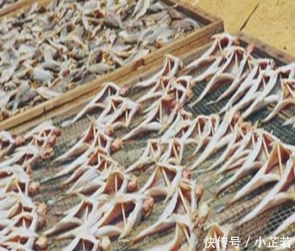 成箱|北方人不敢吃,南方人成箱屯过年吃,外国人!好吃到舔手指