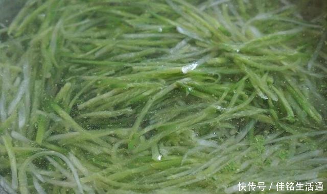 好吃|入秋后,多吃此菜,补锌补维C,才5毛钱一斤,烙成馅饼最好吃