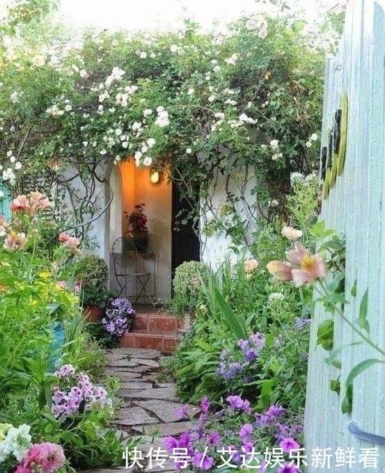 暮年|你我暮年,有个小院,足矣!