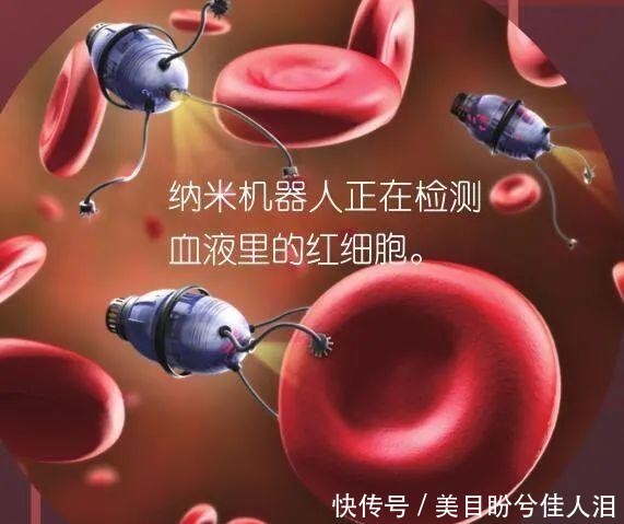 人类|人类与机器的未来会是哪一种?