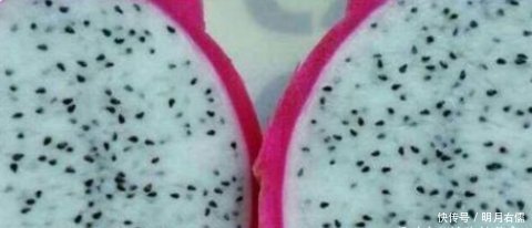 牛奶|姑娘把牛奶倒进火龙果皮里面切开之后满满的惊喜