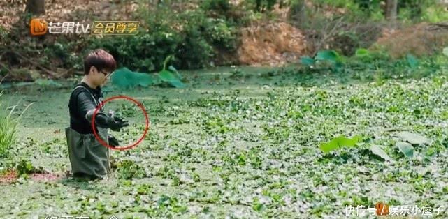 播片|《向往的生活》未播片段长达一小时,宋威龙摸河蚌,汪苏泷又偷懒